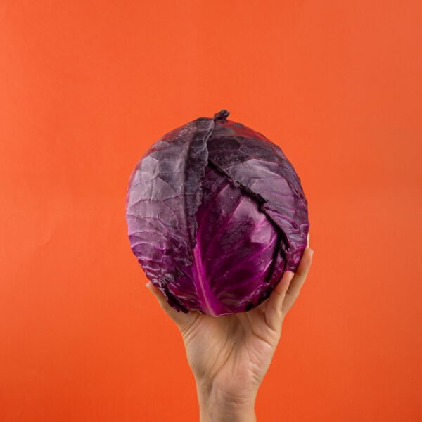 Repolho Roxo